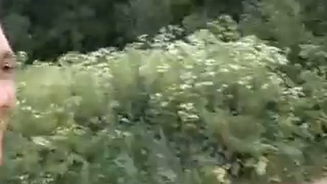 под грибами (under mushrooms) смотреть онлайн