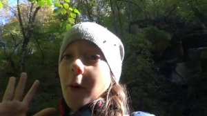 ВЛОГ. Маленькое путешествие. Едем за грибами