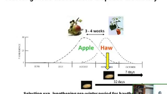 The Genomic Architecture of Speciation
