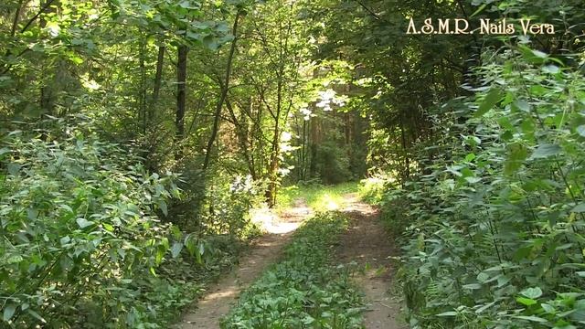 Simple recipe for delicious mushrooms on coals cooking with long nails смотреть онлайн