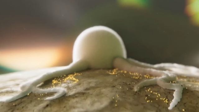 जैविक मित्र फफूंद "मेटारेजिंयम" सभी फसली कीटो का खात्मा/ How Metarhizium anisopliae works in Nature смотреть онлайн