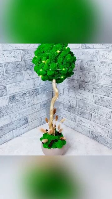 Интерьерное дерево со стабилизированным мхом смотреть онлайн