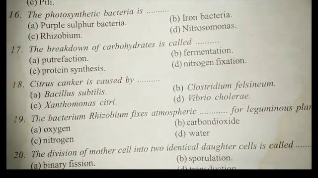 Pg trb botany half revision@ Biology easy смотреть онлайн
