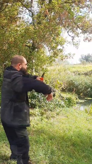 Походная пила против рогатого лося смотреть онлайн