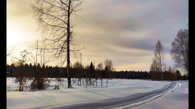 И  Бродский  И вечный бой #философскаялирика #поэты20века смотреть онлайн