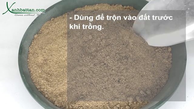 Nấm Đối Kháng Trichoderma Điền Trang | Xanh Bất Tận