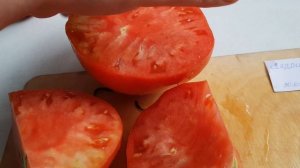 Томат Ладошка - дегустация 30.07.23