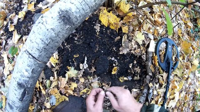 МЕГА КОП с X-TERRA 705!!! Вот это съездили за грибами.