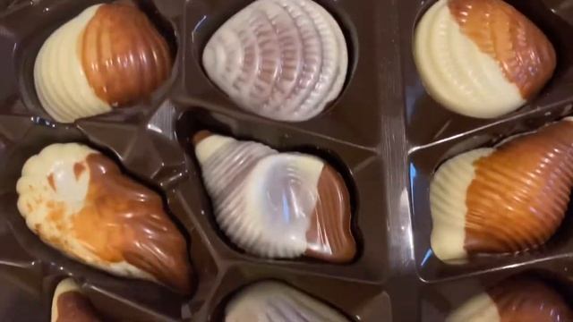 BELGIAN CHOCOLATES | IN SEASHELLS DESIGNS смотреть онлайн