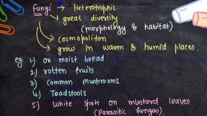 taxonomy- Protista and fungi  || Rpsc Gyan|| part 4