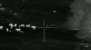 Showing what the PARD SA-32-45 lrf can do!!!   (thermal scope)  (coyote hunting)
