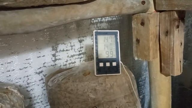 Надо ли менять микроклимат после сбора грибов первой и последующих волн смотреть онлайн