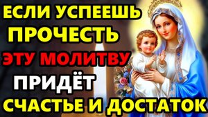 Сегодня ЕСЛИ УСПЕЕШЬ ПРОЧЕСТЬ БОЛЬШОЕ СЧАСТЬЕ ПРИДЕТ В ТВОЙ ДОМ! Молитва Богородице! Православие