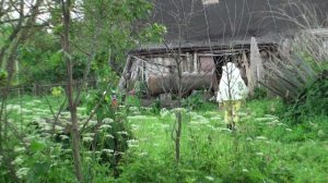 Снятие и подселение роя (2 серия)