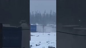 медведь загрыз человека. 10. 11.2023г