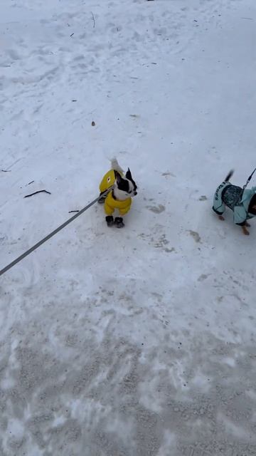 ВСТРЕТИЛИ МАЛЮТКУ смотреть онлайн