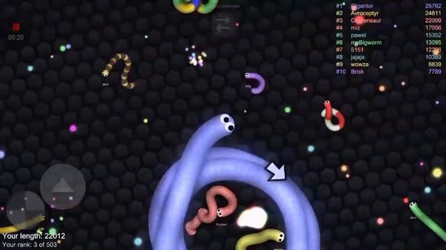 20 SUBSCRIBERS SPECIAL!| TOP WORM| Slither.oi