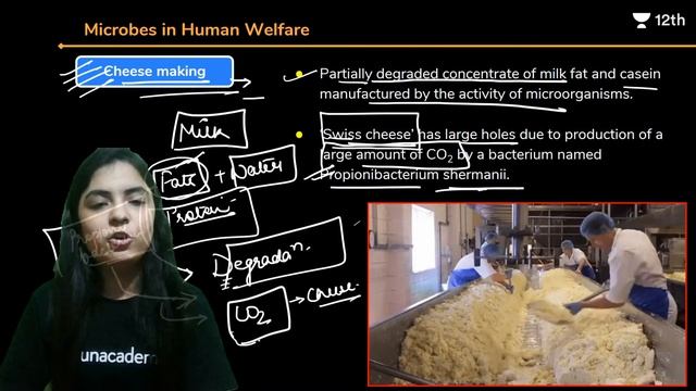 CBSE Class 12: Microbes in Human Welfare L1 | Biology | Unacademy Class 11 & 12 | Prakshi Chaturved
