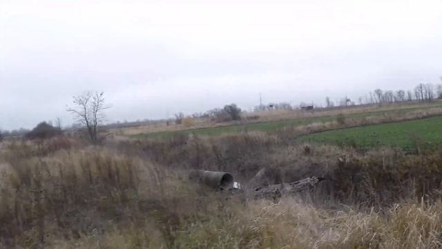 Заяц из тростника!