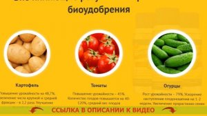 ⚠ СИСТЕМНЫЕ ГЕРБИЦИДЫ 🤘 ИНСТРУКЦИЯ ПО ПРИМЕНЕНИЮ БИОГАРД