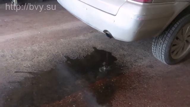подтопленец