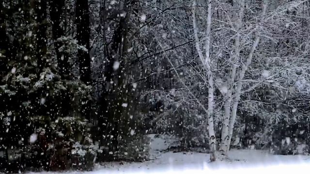 Green Apelsin - "Мать Севера"