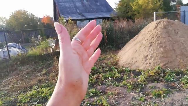 Посадили чеснок. Грибы косить скоро будем смотреть онлайн