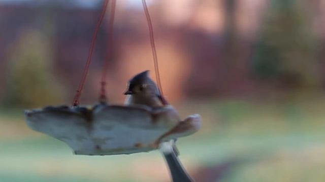 ӨЛЕҢ ДҮНИЕНІҢ АҒЫН ДА ҚАРАСЫН ДА - МҰҚАҒАЛИ МАҚАТАЕВ - ОҚЫҒАН: ЕРБОЛ ЖҮСІПӘЛИЕВ