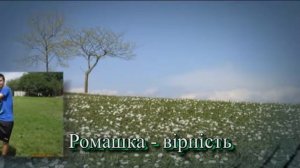 Звіт Петриківська НСЗШ2