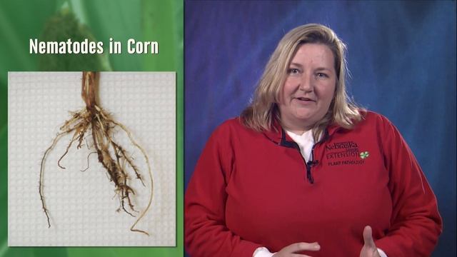 Market Journal - June 7, 2013 (full episode) смотреть онлайн