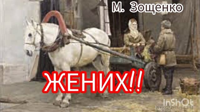 М. Зощенко. ЖЕНИХ. Юмористический рассказ