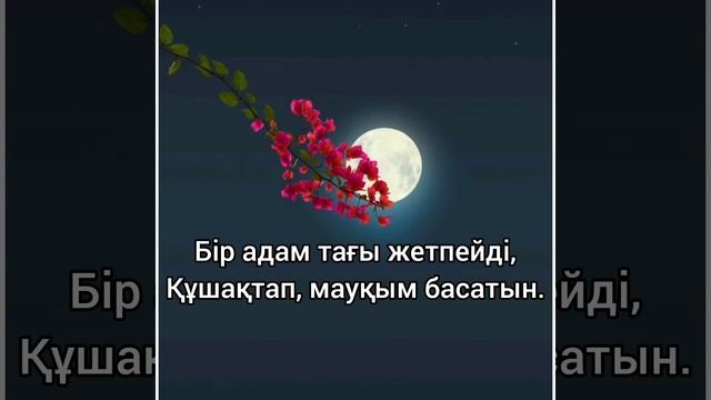 Бір адам...  Авторы: Дархан Даулет. Оқыған: Құралай Сабирова  #поэзия менің жүрегімде...
