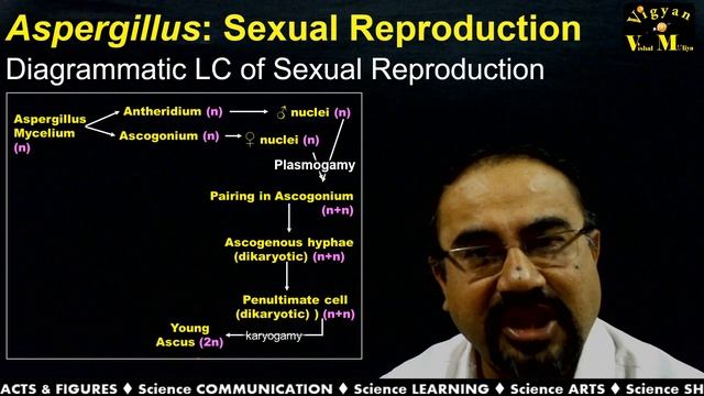 Life History of Aspergillus with Gujarati Narration