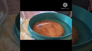 SOS! Нужно срочно спасать чайный гриб