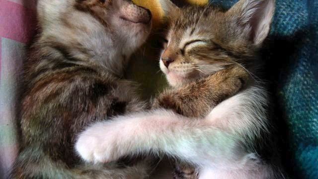 Ты украл мое сердце? Реальный хит! Посмотрите! смотреть онлайн