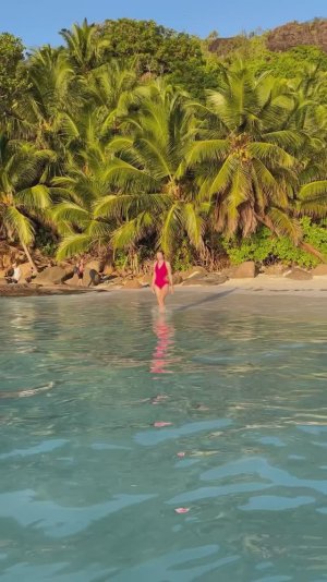 Seychelles life. Маэ, Сейшельские острова.