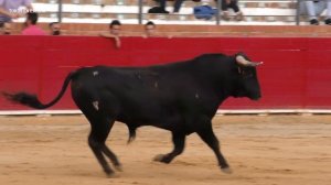 LA SANTIAGUITA, SARITA Y AMANDA MONFERRER EN TERUEL