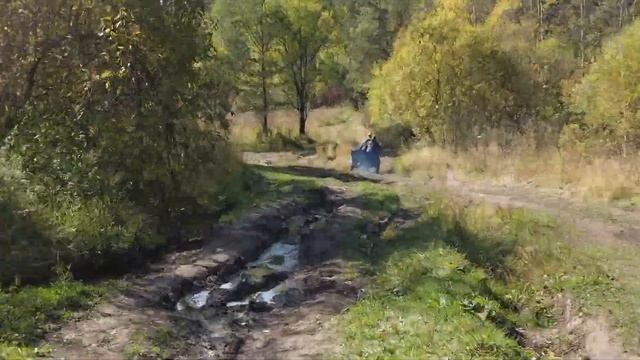 Пошел за МУХОМОРАМИ насобирал опят смотреть онлайн