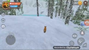 Как победить Боссов в игре Wild Craft!!!  Забагала босов