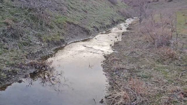 "Огромные грибы" Тараз (Джамбул) #тараз