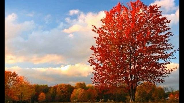 Н  Клюев  Осинушка #стихиобосени #стихиоприроде #стихиородине #поэтысеребряноговека
