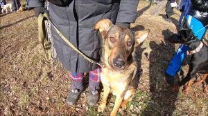 Масленица 2020 г.