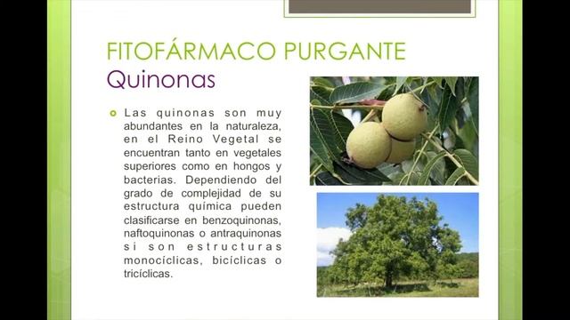 Efectos de fitofármacos смотреть онлайн