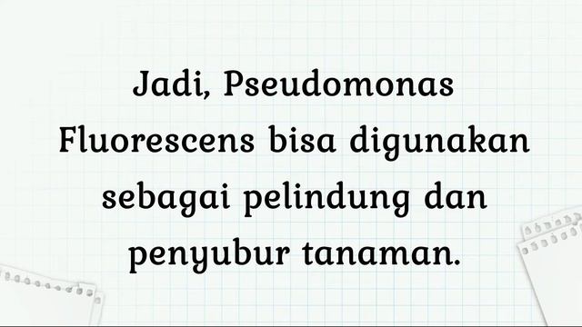 MANFAAT PSEUDOMONAS FLUORESCENS BAGI TANAMAN смотреть онлайн