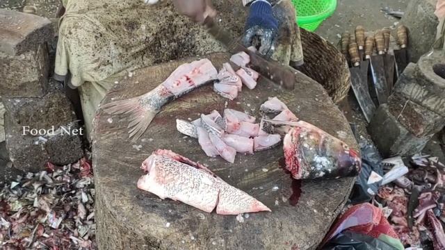 Big Silver Carp Fish Cutting & Skills | Chennai Fish Market | Food Net