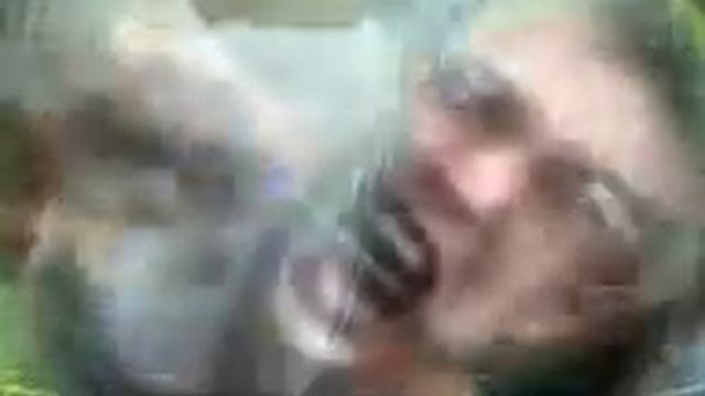 Я становлюсь грибом. смотреть онлайн