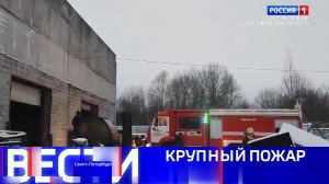 Вести Санкт-Петербург. Выпуск 11:30 от 03.02.2025