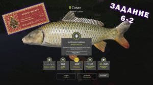 РР4 | Новогодние задания (экстра) | Этап 6 (задание 2) | Северский Донец