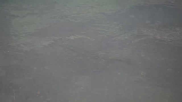 DRIVE - The Cory Scott story. 'Being the best I can be' FLY FISHING NZ смотреть онлайн