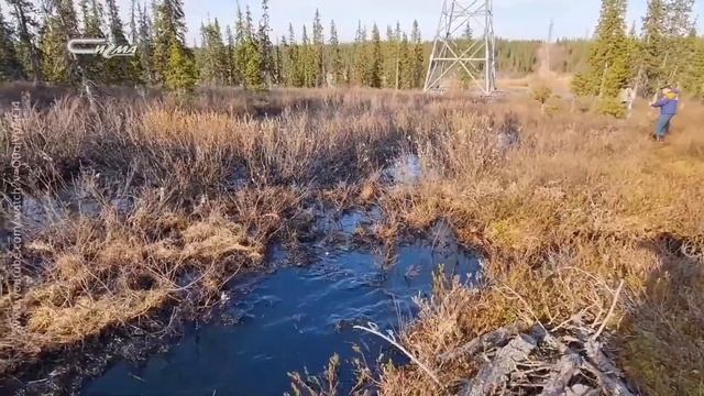 В три строки от 21 мая 2021 смотреть онлайн